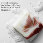 Kitsch Shea Butter Exfoliating Body Wash Bar – Moisturizing Bar Soap & Gentle Soap Bar with Plant-Based Exfoliants – Hydrates, Softens & Soothes Skin – Paraben, Silicone & Sulfate-Free - 4 oz - Image 7