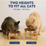 Elevated Cat Bowls for Indoor Cats – Raised Bamboo Cat Bowl Stand with 5.5 Inch Wide Stainless Steel Dishes, Pet Food Table Plate for Easy Feeding, Whisker Friendly(Silver,Set of 2) - Image 4