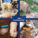 EasyGroomer Deshedding Brush for Dogs Cats | Purple | Undercoat Tool for Large and Small Pets | Comb Removes Loose Dirt, Hair and Fur | Perfect Clean for Short and Long Hair Grooming Shedding - Image 7