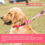 Martingale Dog Collar, No-Buckle Escape-Proof Design, Heavy-Duty Nylon and Welded D-Ring, Adjustable Training Collar for Medium Large Dogs (Baby Pink, L) - Image 6