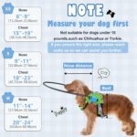 [Updated] LetPetRun Blind Dog Halo Harness, Protective Halo Collar with Reflective Straps, Confidence Building Guiding Device Adjustable Size, Blind Dog Accessories, XS - Image 6