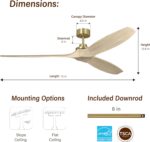 Generation Lighting 3CLNSM70BBSWWO Collins 70" Smart Ceiling Fan with Remote, Smart Compatible with Alexa and iOS or Android App (Burnished Brass with Washed White Oak Blades) - Image 3
