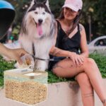 2 Pack 10 lb Dog Food Storage Container Airtight Pet Food Storage Container Cat Food Container Clear Pet Food Storage Bin - Image 5