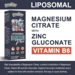 Liposomal Magnesium Citrate Drops for Gut and Bone Health, Mood and Stress Management, Powerful Formula with Vitamin B6 and Zinc Gluconate 60ml (2.04 Fl Oz (Pack of 1)) - Image 4