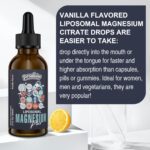 Liposomal Magnesium Citrate Drops for Gut and Bone Health, Mood and Stress Management, Powerful Formula with Vitamin B6 and Zinc Gluconate 60ml (2.04 Fl Oz (Pack of 1)) - Image 5