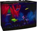 GloFish Crescent aquarium Kit 3 Gallons, Includes Hidden Blue LED Light And Internal Filter - Image 2