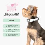 Sassy Woof Dog Collar Star Wars™ Princess Leia - L, Adjustable, Durable, Comfortable and Stylish Pet Accessories for Large Dogs - Officially Licensed - Image 6