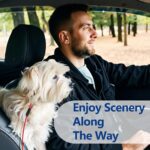 Pawaboo DogSeatbelt, Chew-Proof Leash Extender, Coated Steel Rope Restraint Car Safety Seat Belt Clip Strap, 360° Rotation Hook Heavy Duty Carabiner Steel Cable, 26 Inch, 2 Pack, Black+Red - Image 7