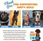 Wahl USA Pro-Grip Pet Grooming Corded Clipper Kit - Clipper for Small to Large Dogs – Electric Dog Clipper for Eyes, Ears, & Paws - Model 9164 - Image 9