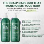 Tea Tree Lavender Shampoo & Conditioner Set with Mint & Rosemary, Cleanses, Cools & Soothes Dry, Itchy Scalp, Sulfate & Paraben-Free, For All Hair Types, 16 fl oz Each - Image 3