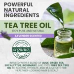 Tea Tree Lavender Shampoo & Conditioner Set with Mint & Rosemary, Cleanses, Cools & Soothes Dry, Itchy Scalp, Sulfate & Paraben-Free, For All Hair Types, 16 fl oz Each - Image 5
