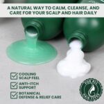 Tea Tree Lavender Shampoo & Conditioner Set with Mint & Rosemary, Cleanses, Cools & Soothes Dry, Itchy Scalp, Sulfate & Paraben-Free, For All Hair Types, 16 fl oz Each - Image 6
