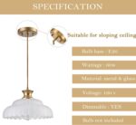 HYDELITE Vintage Frosted Glass Pendant Lights Kitchen Island Lighting Fixtures Over The Kitchen Sink Adjustable Hanging Pendant for Dining Room Kitchen Entryway - Image 5