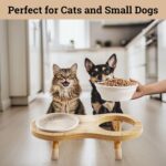 Elevated Cat Bowls - Set of 2 Ceramic Pet Food Bowls with Anti-Slip Bamboo Stand - 15 Degree Titled - Raised Dog Bowl for Small Dogs - Raised Cat Bowl Stand - Pet Feeding Station for Cats & Small Dogs - Image 5
