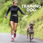 Hands Free Dog Leash with Pouch, Adjustable Waist Belt with Double Padded Handles, Waist Leash for Dog Walking Accessories, Olive - Image 9