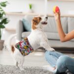 CuteBone Dog Diapers Male Washable Belly Band for Male Dogs Wraps Black 3pcs a Pack DM55S - Image 9