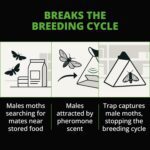 Moth Pheromone Sticky Traps 5 Pack – Extra Potent, Long-Lasting Pantry Moth Control for Kitchen, Food & Pet Food Storage - Image 5