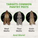 Moth Pheromone Sticky Traps 5 Pack – Extra Potent, Long-Lasting Pantry Moth Control for Kitchen, Food & Pet Food Storage - Image 7