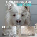 High Velocity Dog Hair Dryer 5.2HP/ 3800W Professional Dogs Blower Grooming Dryer, Adjustable Temperature and Speed Pet Dryers with 4 Nozzles and a Comb, Black - Image 4