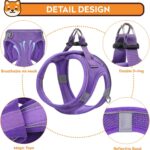 Dog Harness with Leash Set, No-Pull Step-in Reflective Pet Harness with 1 Leash Clips, Adjustable Soft Padded Easy Walk Dog Vest for Small Medium Large Dogs, Cats(Light Purple, Large) - Image 3