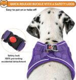 Dog Harness with Leash Set, No-Pull Step-in Reflective Pet Harness with 1 Leash Clips, Adjustable Soft Padded Easy Walk Dog Vest for Small Medium Large Dogs, Cats(Light Purple, Large) - Image 4