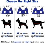 Pet Dog Grooming Hammock for Nail Trimming,Dog Restraint Hanging Harness for Nail Clipping,Dog Grooming Sling for Large Dogs with Nail Clippers/Nail File/Pet Comb,Claw Care(XL for 60lb) - Image 5