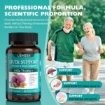 Milk Thistle Supplement - Liver Detox Cleanse Formula Herbal Liver Support with Milk Thistle, Dandelion Root, Artichoke, Turmeric, Astragalus for Liver Health, 90 Capsules - Image 3