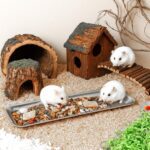 2 Pack Cat Food Bowls, Stainless Steel Extra Wide Anti Whisker Fatigue Dishes, Shallow Pet Bowls for Multi-Cat Families and Flat Face Breeds - Image 7