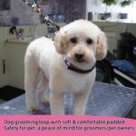 Dog Grooming Belly Straps – Adjustable Grooming Loops with Cute Paw & Bone Pattern – Pet Grooming Belly Support Band Table Accessories Restraint Noose for Small to Large Dogs(Black) - Image 7