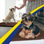 Muddy Mat® Shown on TV – Super Absorbent Microfiber Dog Door Mat for Muddy Paws, Non-Slip Washable Pet Rug, Quick Dry Chenille Entryway Carpet, Machine Washable Indoor Outdoor mat, Brown 35"x24" - Image 7
