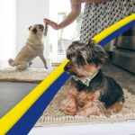 Muddy Mat® Shown on TV – Super Absorbent Microfiber Dog Door Mat for Muddy Paws, Non-Slip Washable Pet Rug, Quick Dry Chenille Entryway Carpet, Machine Washable Indoor Outdoor mat, Beige 35"x24" - Image 7