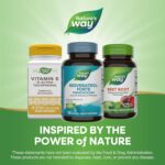 Nature's Way Resveratrol-Forte, Protects from Free Radicals*, 60 Softgels - Image 8