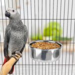 Hypeety Stainless Steel Bird Food Water Bowl Parrot Cage Accessories for Parakeet Bird Dog Cat Parrot Rabbit (Large,5.5 * 2.3in) - Image 6
