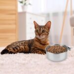 Hypeety Stainless Steel Bird Food Water Bowl Parrot Cage Accessories for Parakeet Bird Dog Cat Parrot Rabbit (Large,5.5 * 2.3in) - Image 7