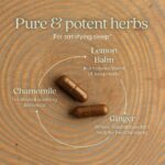 New Chapter Sleep Aid – Zyflamend Nighttime for Sleep Support with Turmeric + Valerian Root + Lemon Balm + Holy Basil, Vegetarian Capsules, 60 Count - Image 4