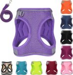 Dog Harness with Leash Set, No-Pull Step-in Reflective Pet Harness with 1 Leash Clips, Adjustable Soft Padded Easy Walk Dog Vest for Small Medium Large Dogs, Cats(Light Purple, Large) - Image 2