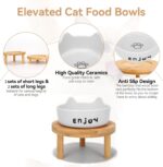 3PCS Elevated Cat Bowls,Wide Raised Ceramic Pet Dishes with Bamboo Stand, Whisker Friendly Pet Water or Food Plates Feeding Station for Indoor Small Dogs, Kitten (Black(2PCS)) - Image 4