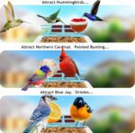 64GB Smart Bird Feeder with Camera Solar Powered, AI Identify 10K+ Bird Aves, 2K 3MP HD Live Video &Playback on Phone, 2.4G WiFi Birdhouse Camera Wireless Outdoor-Watching House (Light Blue) - Image 6