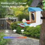 64GB Smart Bird Feeder with Camera Solar Powered, AI Identify 10K+ Bird Aves, 2K 3MP HD Live Video &Playback on Phone, 2.4G WiFi Birdhouse Camera Wireless Outdoor-Watching House (Light Blue) - Image 9