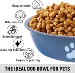 kathson 2 Pack Stainless Steel Dog Bowls,6" Spill Proof Metal Dog Food Bowls,Nonslip Rubber Bottom Pet Food and Water Bowl Set,Puppy Dishes Feeder for Medium Small Dogs,Grey - Image 4