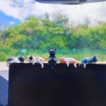 Small Cats Ornament Dashboard Decorations, Cute Cat Car Accessories Interior Dashboard Accessories, Car Dash Decor for Women/Men - Image 9