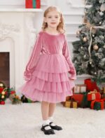 FYMNSI Toddler Girls Velvet Tulle Tutu Dress Kids Long Sleeve Princess Birthday Xmas Party Dresses Gowns Fall Winter Outfit - Image 5