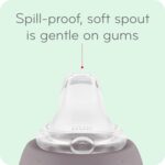 NUK Learner Cup, 6+ Months, Fun Fruits and Animals, Amazon Exclusive Collection, 5 Oz, Pack of 2 – BPA Free, Soft Spout, Spill Proof Sippy Cup - Image 6