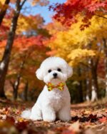 PET SHOW 10 Pack Fall Small Dog Collar Bow Ties Bulk Puppy Cats Autumn Adjustable Bowties for Medium Dogs Pumpkin Maple Leaf Bowknots Birthday Party Holiday Assorted Pet Grooming Accessories - Image 7