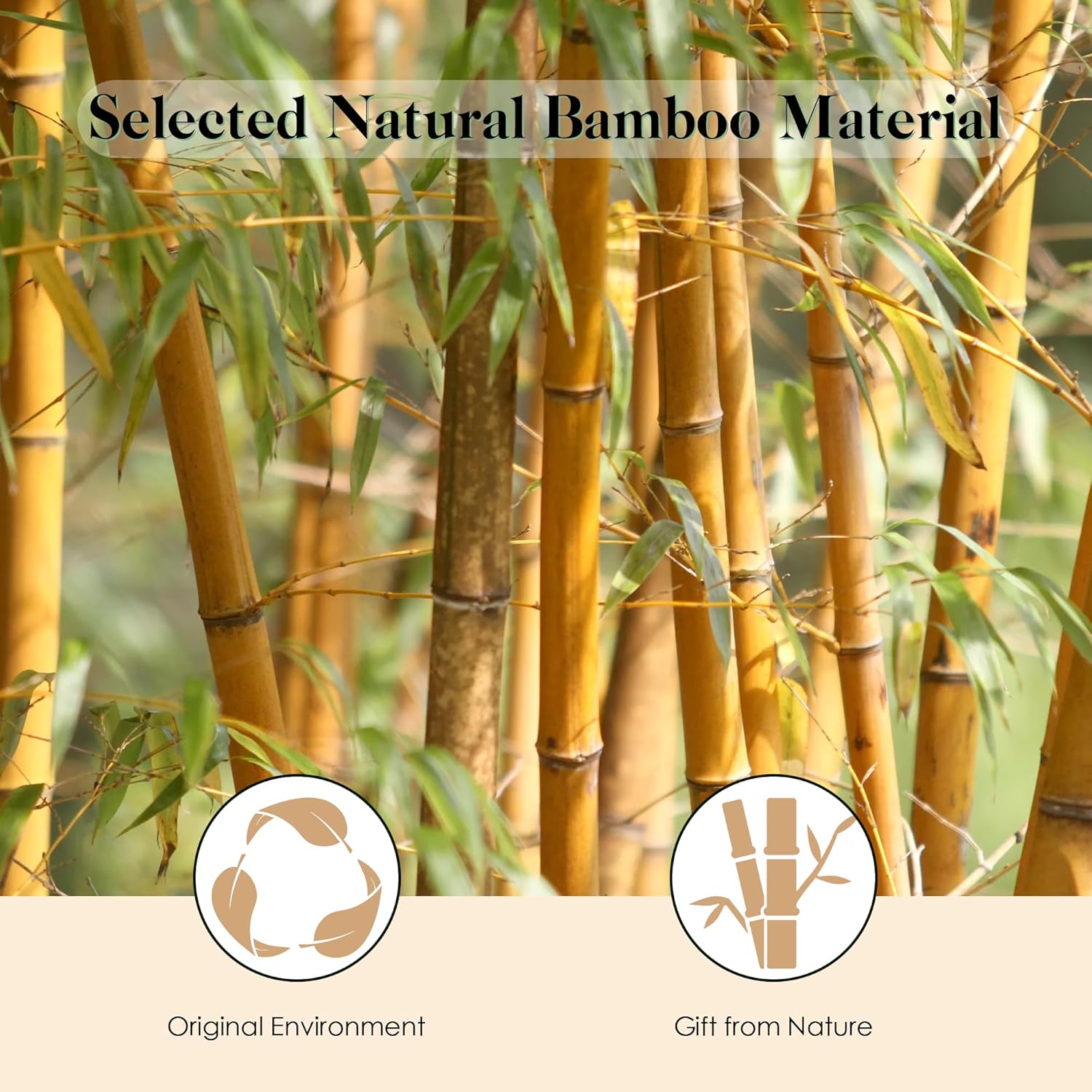 GAINWELL Bamboo Hair Brush for Hair Growth, Natural Bamboo Bristles Detangling Wooden Paddle Hairbrush for Massaging Scalp, for Women Men and Kids, for All Hair Types, with Ergonomic handle - Image 5