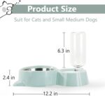 Dog Bowls, Puppy Cat Food and Water Bowl Set with Water Dispenser and Stainless Steel Bowl Detachable Gravity Pet Feeder and Waterer Set for Cats Dogs Puppy Rabbit (Grey) - Image 6