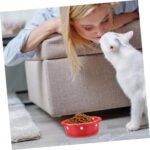 1pc Christmas Cat Ceramic Bowl Cute Pet Food Container for Cats and Dogs Easy Holiday Feeding Pet Food Dish for Puppies - Image 9