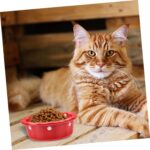 1pc Christmas Cat Ceramic Bowl Cute Pet Food Container for Cats and Dogs Easy Holiday Feeding Pet Food Dish for Puppies - Image 10