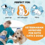 BENCMATE Inflatable Dog Cone Collar Alternative, Soft Dog Cone for Small Medium Large Dogs and Cats, Neck Recovery ECollar Donut Collar After Surgery (Medium, Blue) - Image 5