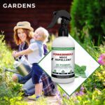 Peppermint Oil Mice Spray 8oz (Pack of 2) - Image 4